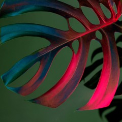 Journey To The Unconscious