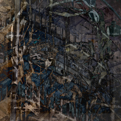 FEEDBACK
