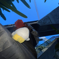 thatswhatshesaid v2 (prod. pm)