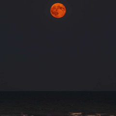 because dreaming costs money, my dear - mitski (sped up)