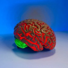 Open your mind - fx8n edit