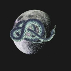 Chillout Hip Hop Piano Track from SnakeBeatz