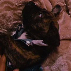 never let u qo -. Yung$osa ft. $uavs x JinX x TLJ 2