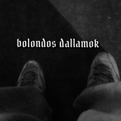 bolondos dallamok
