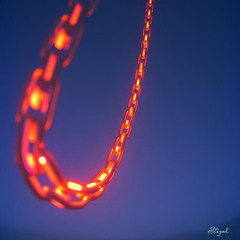 Yankee Doodle - Envy Is Eternal