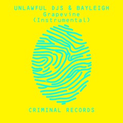 Unlawful DJs & Bayleigh - Grapevine (Instrumental)