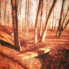 So You Said It’d Be Okay