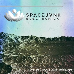 spacejvnk Live! @ LMG 6.17.2023 - Minimal & Deep Tech