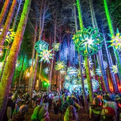 Indies of Electric Forest