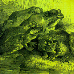 Frog Ensemble