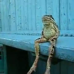 Day 16 - 22toonsysteem