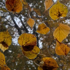 KALITA - Хочу Еще