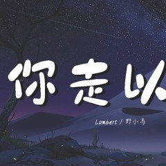 Lambert&野小马 - 你走以后【動態歌詞/Lyrics Video】