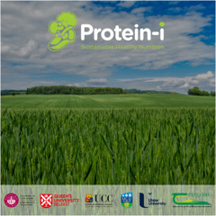 Protein-I - Episode 4