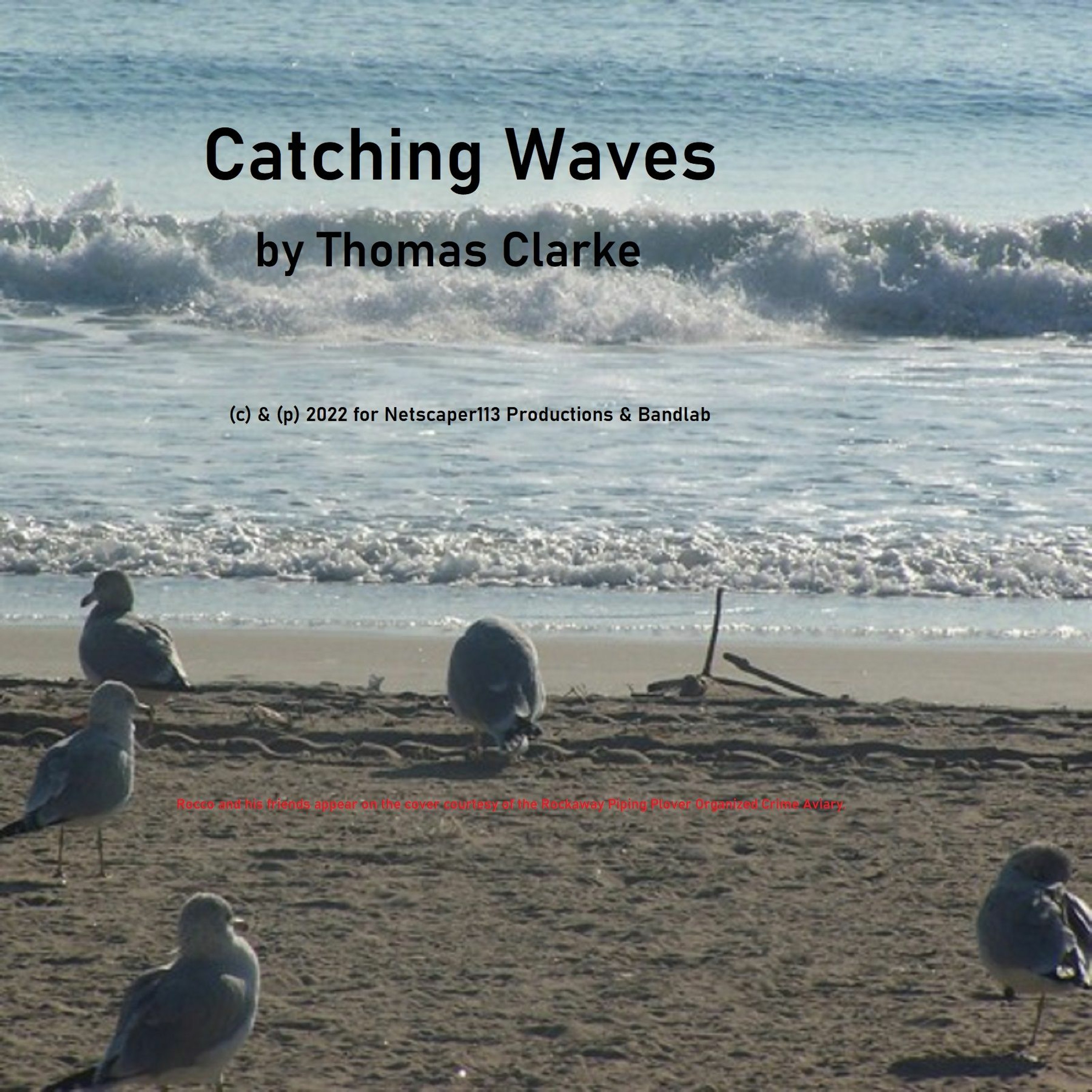 Catching Waves episode artwork