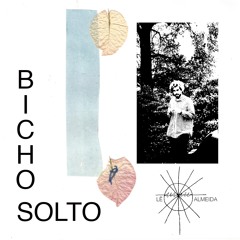06 - Bicho Solto