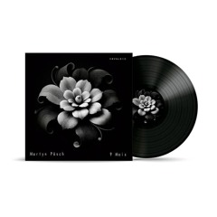 𝐏𝐑𝐄𝐌𝐈𝐄𝐑𝐄 | Martyn Päsch - Magnificence [Virescence Records]