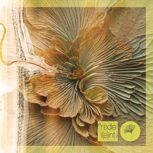 Sounds Of Rituals, Darmon Augusto Yepes - Seva (Rolling In The Deep) [UNRELEASED]