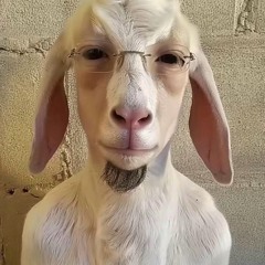 stars flow (prod.sk1pa saintracks)