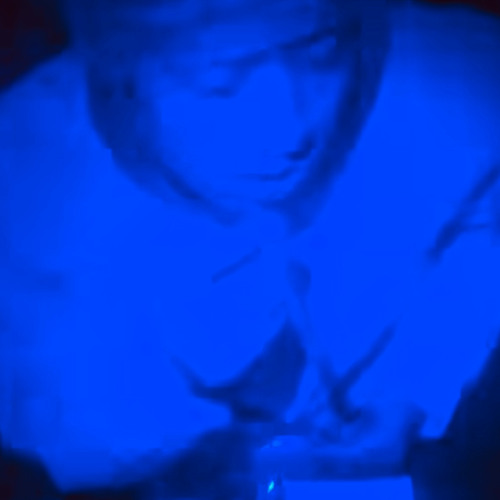 楽しむだけ毎日