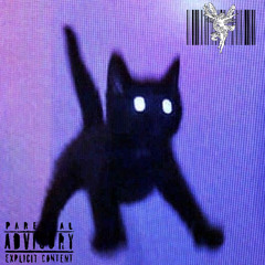 9LIVES (prod.tri)