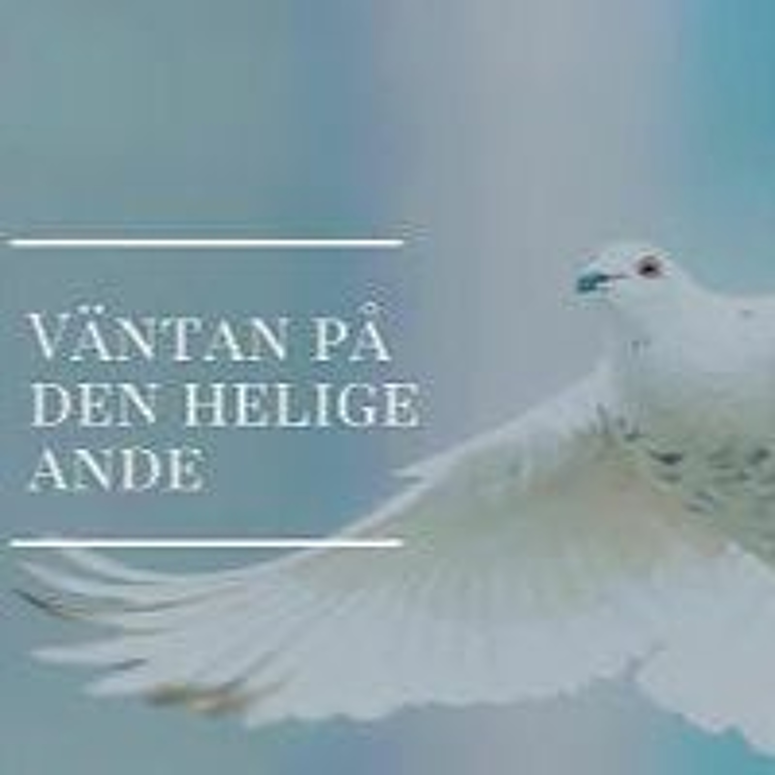 Predikan/EFS Helsingborg