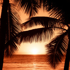 Bahía Paraíso