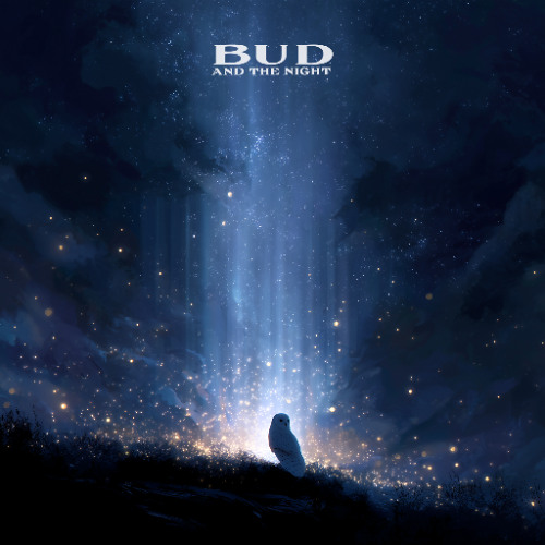 Stream Owl City - Fireflies (Bud And The Night Remix) by Bud