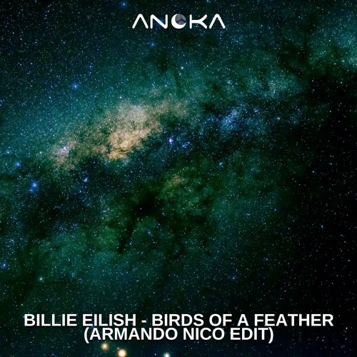 Free DL: Billie Eilish - Birds Of A Feather (Armando Nico Edit) Preview