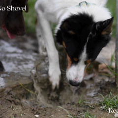 I Ain't Got No Shovel