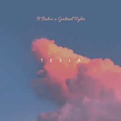 Tesla w/ GabrielTyler