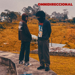 Omnidireccional