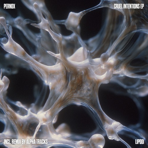 BCCO Premiere: Pernox - Rapid Feet Movement [LIP001]