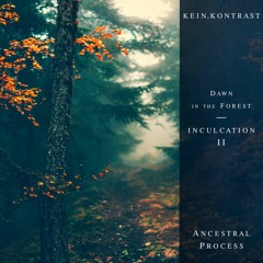 KEIN.KONTRAST • Inculcation 02 - Podcast Series
