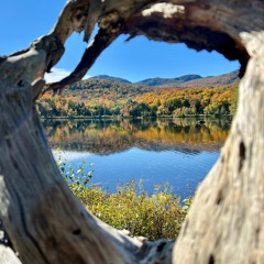 Vanish Test Orchestre 2022