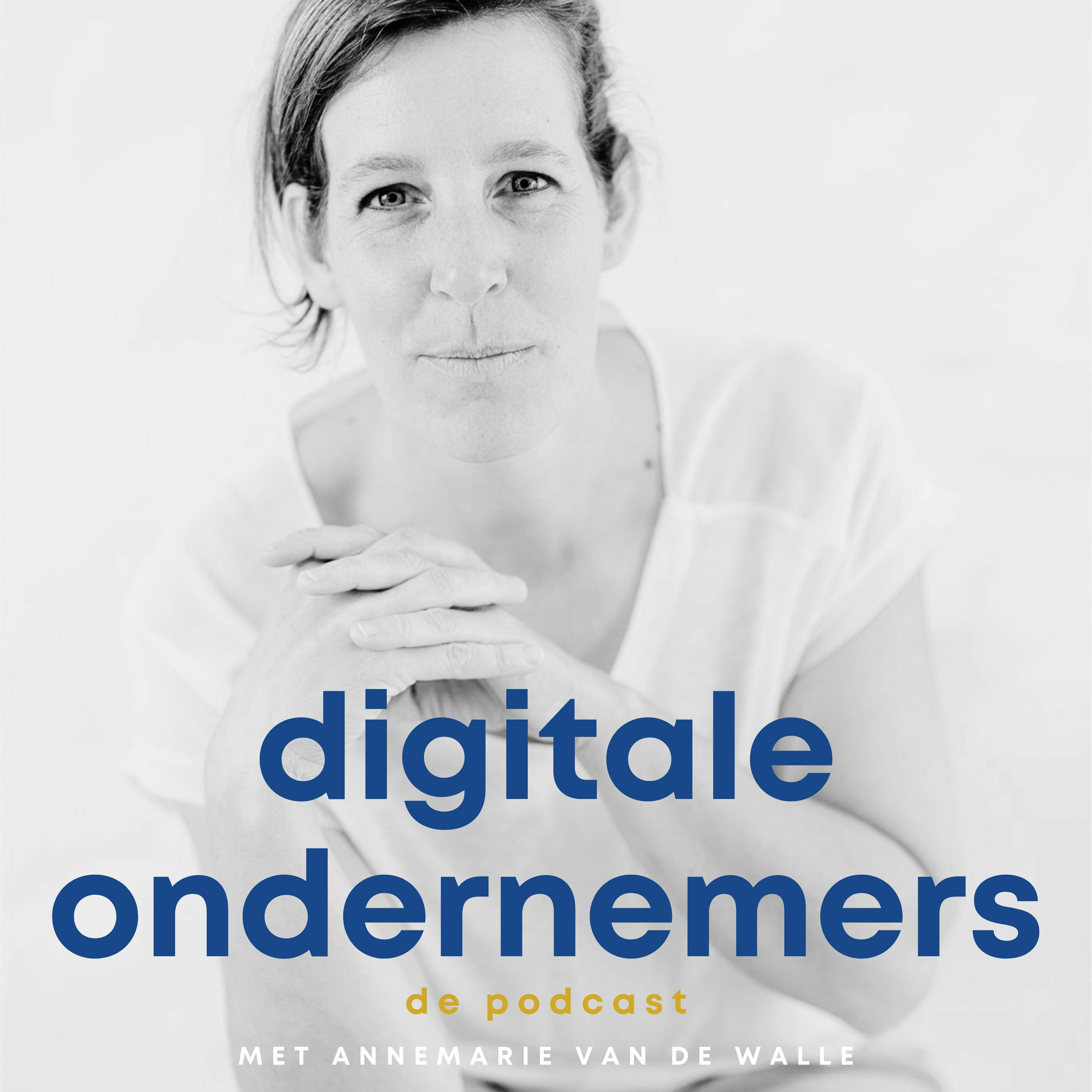 Digitale Ondernemers Podcast