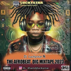 Dj Luckystar Ft THE AFROBEAT DIG MIXTAPE 2023