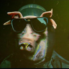 Blind Hog