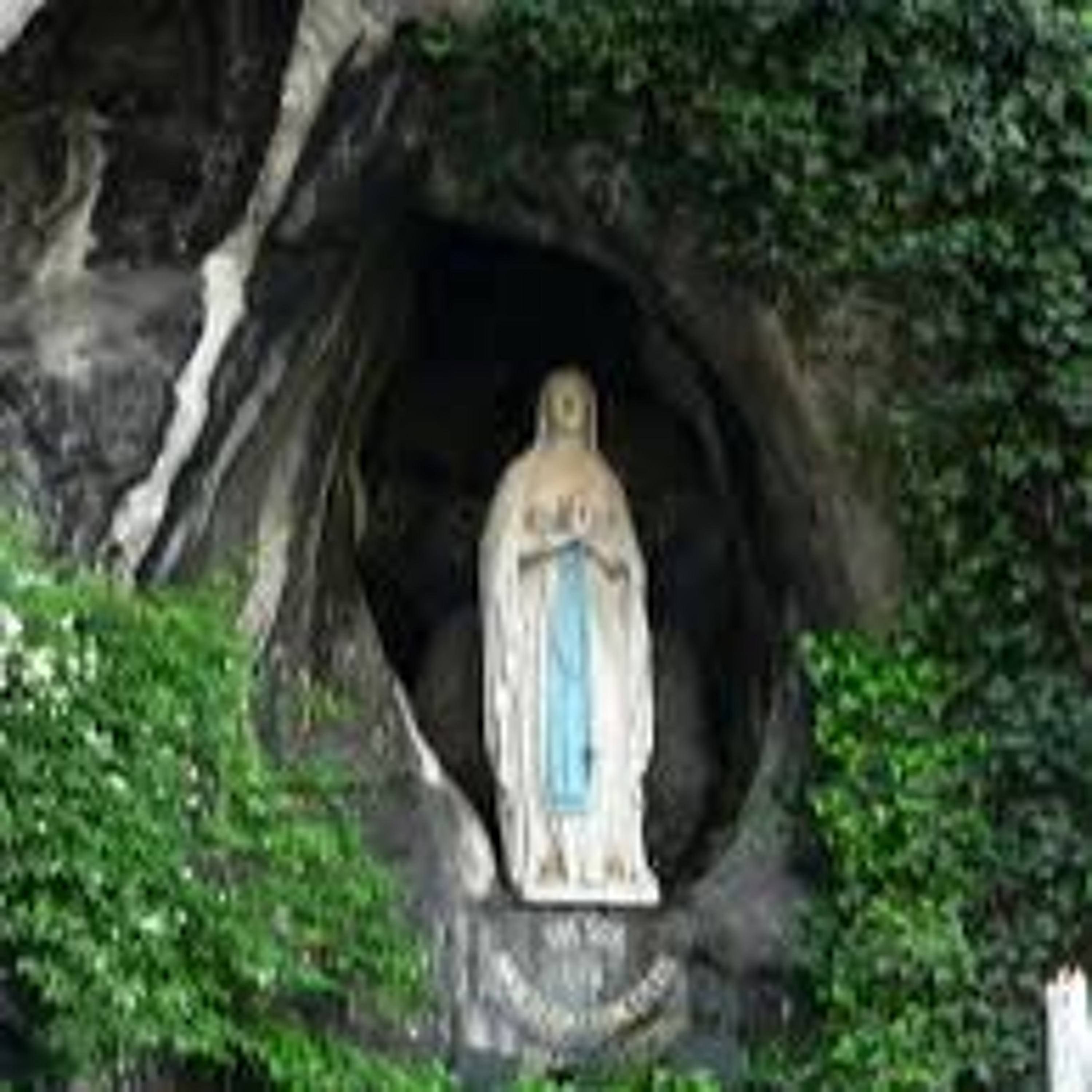 Parte per Lourdes il pellegrinaggio dell'Oftal diocesana episode artwork