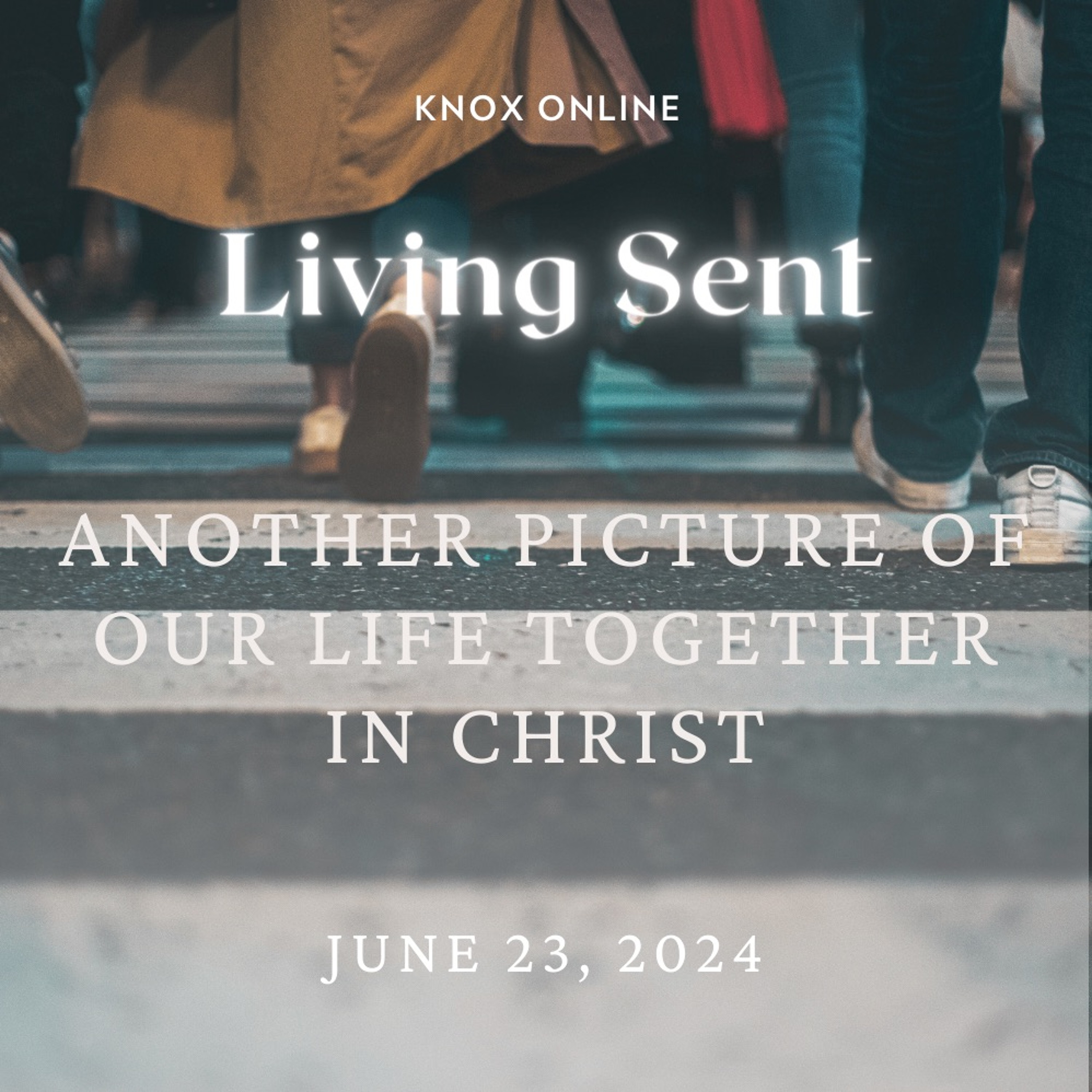 June 23, 2024 | Romans 12:1-16 | Another Picture Of Our Life Together In Christ episode artwork
