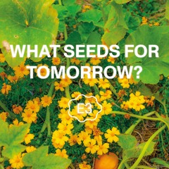 E3: The Diversity We Stand For