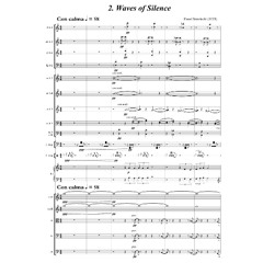 Pawel Strzelecki: 2. "Waves of Silence" [Concerto for Accordion and Orchestra (2025)].