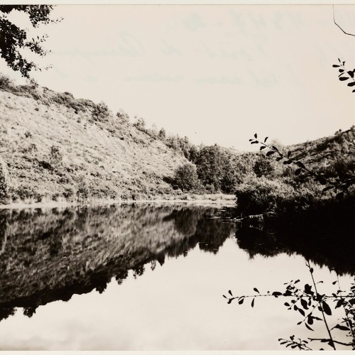 Brocéliande, entre histoire et légende