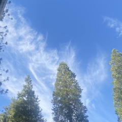 SPIDER LILY (feat. Yoduh)