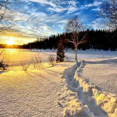 Mostly Sunny