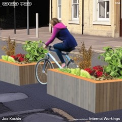 PREMIERE : Joe Koshin - Solid