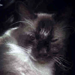 where did it get me now?