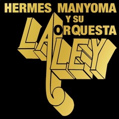 Volví - Hermes Manyoma Y Su Orquesta La Ley | La Casa Del Son | SD CA