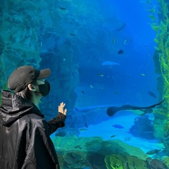 our vibe (prod. 나는올리브다)