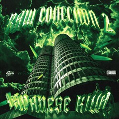 RAW COLLECTION VOL. 2
